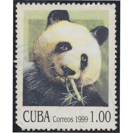Cuba SH 154 1999 China 99 Oso Panda Exposición Filatélica Mundial usados