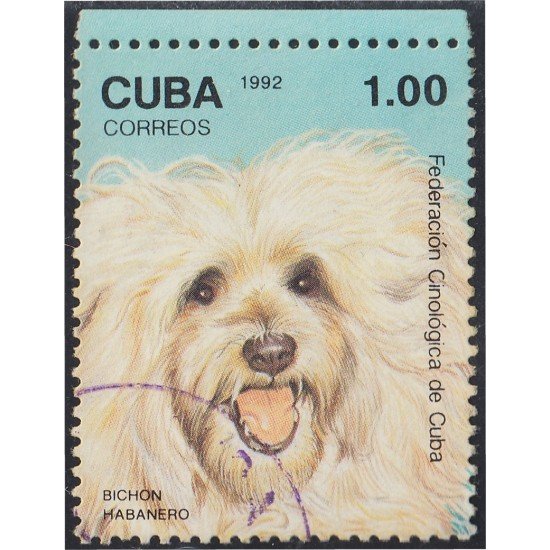 Cuba SH 129 1992 Perro Bichón Habanero Dog usados Cuba SH 129 1992 Perro Bichón Habanero Dog usados