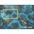 Cuba HB 278 2010 Flora y Fauna Arboles Pinos MNH