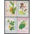 Rep. Dominicana 1005AD 1986 Plantas medicinales MNH