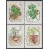Rep. Dominicana 1173/76 1995 Flora Plantas Ozua Bejuco riñón Melon espinoso y Guayiga MNH
