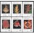 Costa Rica 510/15 1989 Flores indígenas Flowers MNH