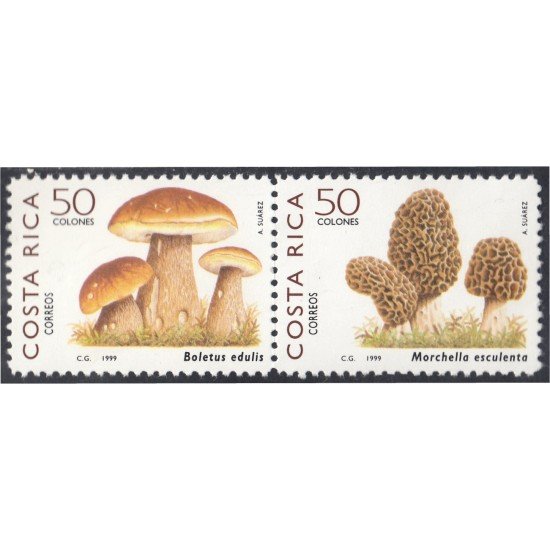 Costa Rica 648/49 1999 Flora Champiñones MNH Costa Rica 648/49 1999 Flora Champiñones MNH