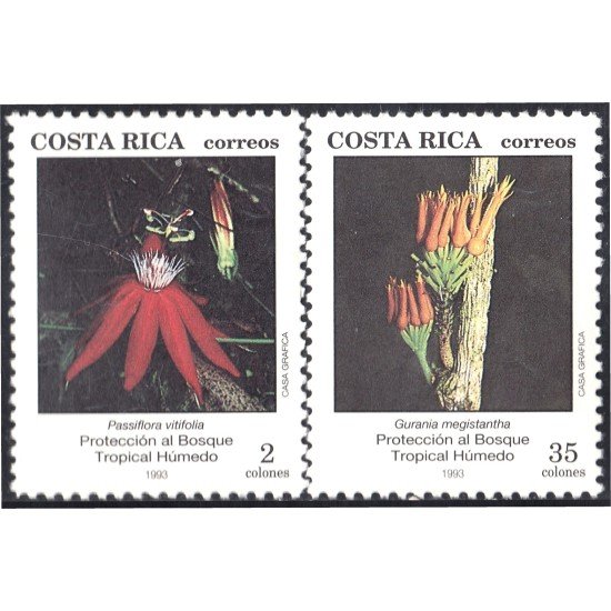 Costa Rica 569/70 1993 Protección al bosque tropical húmedo MNH Costa Rica 569/70 1993 Protección al bosque tropical húmedo MNH