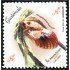 Guatemala 649 2011 Flor Orquídea Flower MNH