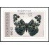 Honduras HB 52 1997 Mariposas Butterflies MNH