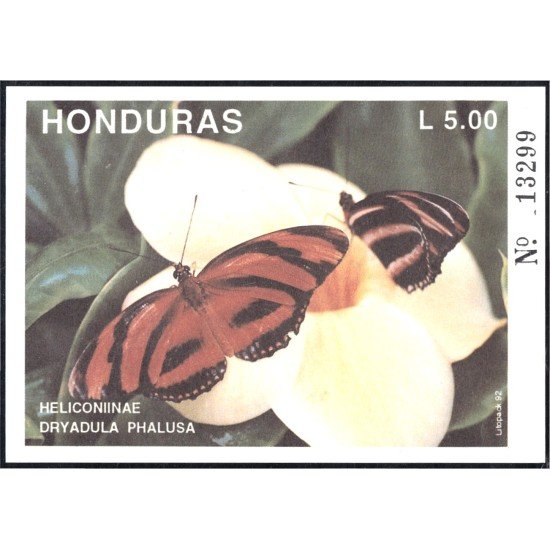 Honduras HB 48 1992 Mariposas Butteflies fauna MNH