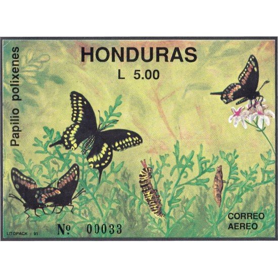 Honduras HB 43 1991 Mariposas Butteflies fauna MNH Honduras HB 43 1991 Mariposas Butteflies fauna MNH