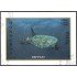 Honduras HB 58 1998 Reptiles Tortuga usados