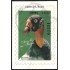 Honduras HB 54 1997 Ave Pájaro Bird Rey Zope usados