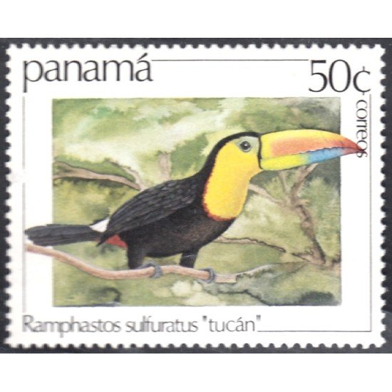 Panama 902 1981 Tucán Pájaro Ave Bird  MNH