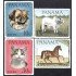 Panama A- 424/27 1967 Animales Gato Perro Toro Caballo MNH