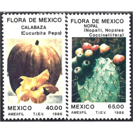 México 1147/48 1986 Flora Calabaza Cactus Napal MNH México 1147/48 1986 Flora Calabaza Cactus Napal MNH