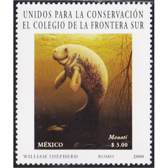 México 1949 2000 Fauna Unidos por la conservación Manatí MNH México 1949 2000 Fauna Unidos por la conservación Manatí MNH