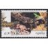 México 2004 Conserva Reptiles básicas  MNH