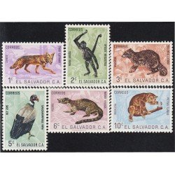 El Salvador 686/91 1963 Fauna Coyote Mono araña Mapache MNH El Salvador 686/91 1963 Fauna Coyote Mono araña Mapache MNH