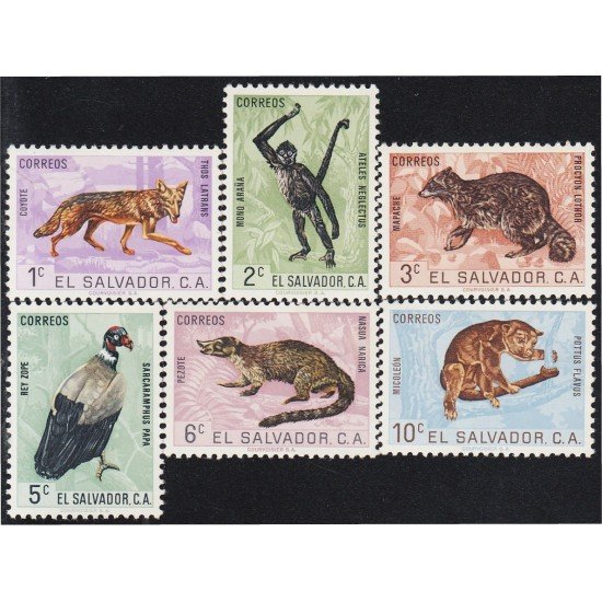 El Salvador 686/91 1963 Fauna Coyote Mono araña Mapache MNH El Salvador 686/91 1963 Fauna Coyote Mono araña Mapache MNH