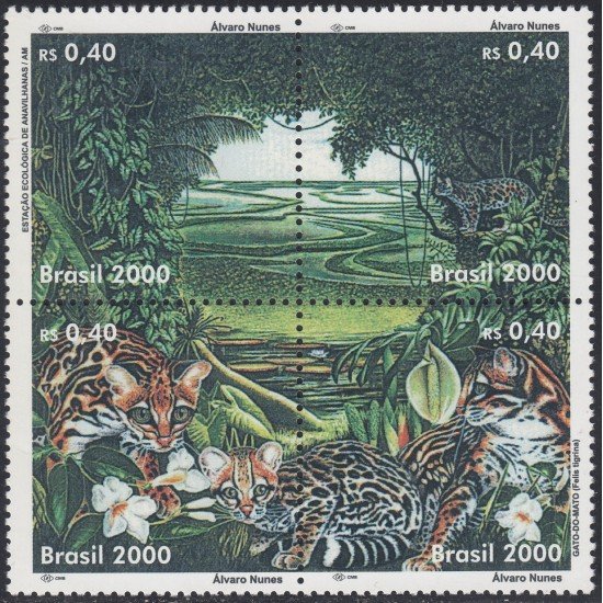 Brasil Brazil 2588/91 2000 Protección al Medio Ambiente MNH Brasil Brazil 2588/91 2000 Protección al Medio Ambiente MNH