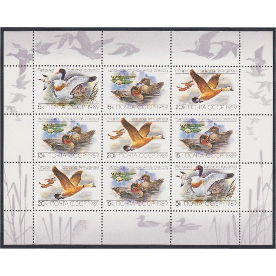Rusia 5641/43 1989 Fauna Patos y gansos Minihojita MNH Rusia 5641/43 1989 Fauna Patos y gansos Minihojita MNH