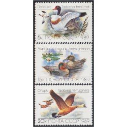 Rusia 5641/43 1989 Fauna Patos y gansos MNH Rusia 5641/43 1989 Fauna Patos y gansos MNH