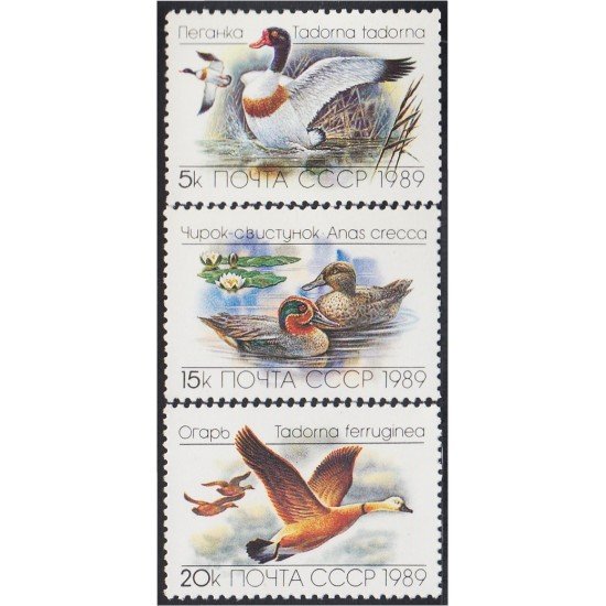 Rusia 5641/43 1989 Fauna Patos y gansos MNH Rusia 5641/43 1989 Fauna Patos y gansos MNH