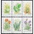 Moldavia 71/76 1993 Flora Flores Flowers MNH