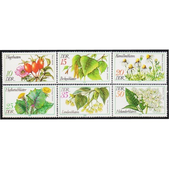 Alemania Oriental 1957/62 1978 Plantas oficiales MNH Alemania Oriental 1957/62 1978 Plantas oficiales MNH