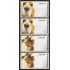 Portugal Atms 2005 Amiel Fauna Animales de compañía Perro Dog 5v D-63