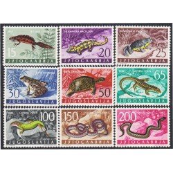 Yugoslavia 905/13 1962 Fauna Animales diversos MNH Yugoslavia 905/13 1962 Fauna Animales diversos MNH