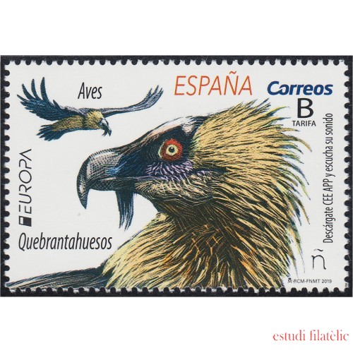 España Spain 5314 2019 Aves Quebrantahuesos Bird MNH Tarifa B