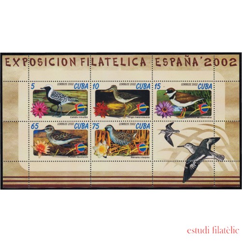España Spain Emisión conjunta 2002 Cuba - España Pájaros Aves Birds MNH