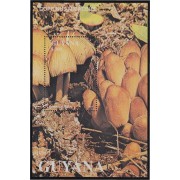 Guyana HB 24 1989 Flora Champiñones MNH