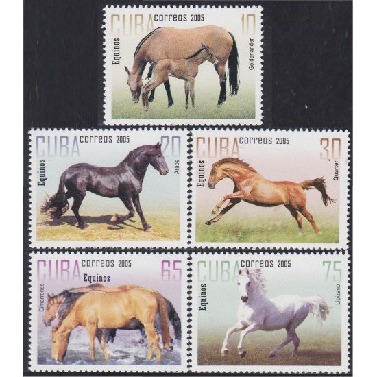 Cuba 4291/95 2005 Caballos Horses MNH