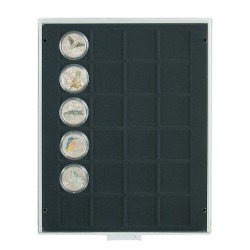 Lindner 2124C Bandeja 42 mm para monedas con 24 huecos cuadrados Lindner 2124C Bandeja 42 mm para monedas con 24 huecos cuadrados