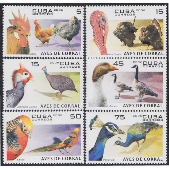 Cuba 4351/56 2006 Aves de Corral MNH Cuba 4351/56 2006 Aves de Corral MNH