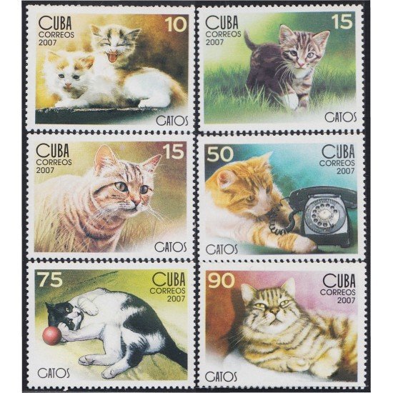 Cuba 4446/51 2007 Fauna Gatos MNH