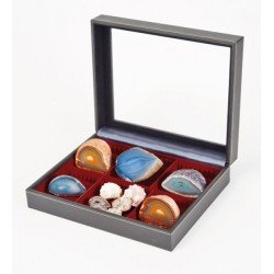Lindner 2369-2462E Estuche Nera Varius Plus con inserto rojo oscuro con 2 compartimentos divididos flexibles Lindner 2369-2462E Estuche Nera Varius Plus con inserto rojo oscuro con 2 compartimentos divididos flexibles