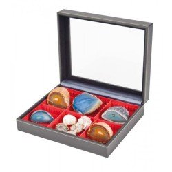 Lindner 2369-2402E Estuche Nera Varius Plus con inserto rojo claro con 2 compartimentos divididos flexibles Lindner 2369-2402E Estuche Nera Varius Plus con inserto rojo claro con 2 compartimentos divididos flexibles