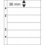 Lindner MU1316 Hojas Multi Collect con 6 tiras (36 mm) por página