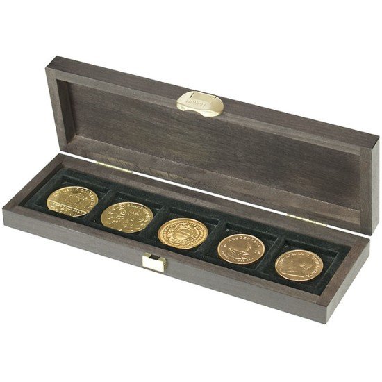 Lindner S2490-5 Estuche Carus S con 5 compartimentos para monedas Lindner S2490-5 Estuche Carus S con 5 compartimentos para monedas