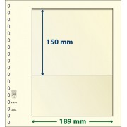 Lindner 802101P Hojas T-Blanko Creaciones Personales Altura: 150 mm. pqte 10