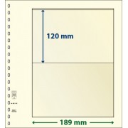 Lindner 802105P Hojas T-Blanko Creaciones Personales Altura: 120 mm. pqte 10