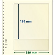 Lindner 802103P Hojas T-Blanko Creaciones Personales Altura: 185 mm. pqte 10