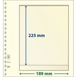 Lindner 802104P Hojas T-Blanko Creaciones Personales Altura: 225 mm. pqte 10 Lindner 802104P Hojas T-Blanko Creaciones Personales Altura: 225 mm. pqte 10