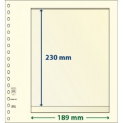 Lindner 802108P Hojas T-Blanko Creaciones Personales Altura: 230 mm. pqte 10