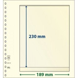 Lindner 802108P Hojas T-Blanko Creaciones Personales Altura: 230 mm. pqte 10 Lindner 802108P Hojas T-Blanko Creaciones Personales Altura: 230 mm. pqte 10