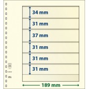 Lindner 802601P Hojas T-Blanko Creaciones Personales Altura: 31,31,31,37,31,34 mm. pqte 10
