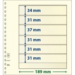 Lindner 802601P Hojas T-Blanko Creaciones Personales Altura: 31,31,31,37,31,34 mm. pqte 10 Lindner 802601P Hojas T-Blanko Creaciones Personales Altura: 31,31,31,37,31,34 mm. pqte 10