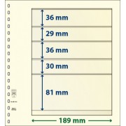 Lindner 802513P Hojas T-Blanko Creaciones Personales Altura: 81,30,36,29,36 mm. pqte 10
