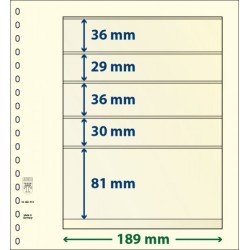 Lindner 802513P Hojas T-Blanko Creaciones Personales Altura: 81,30,36,29,36 mm. pqte 10 Lindner 802513P Hojas T-Blanko Creaciones Personales Altura: 81,30,36,29,36 mm. pqte 10